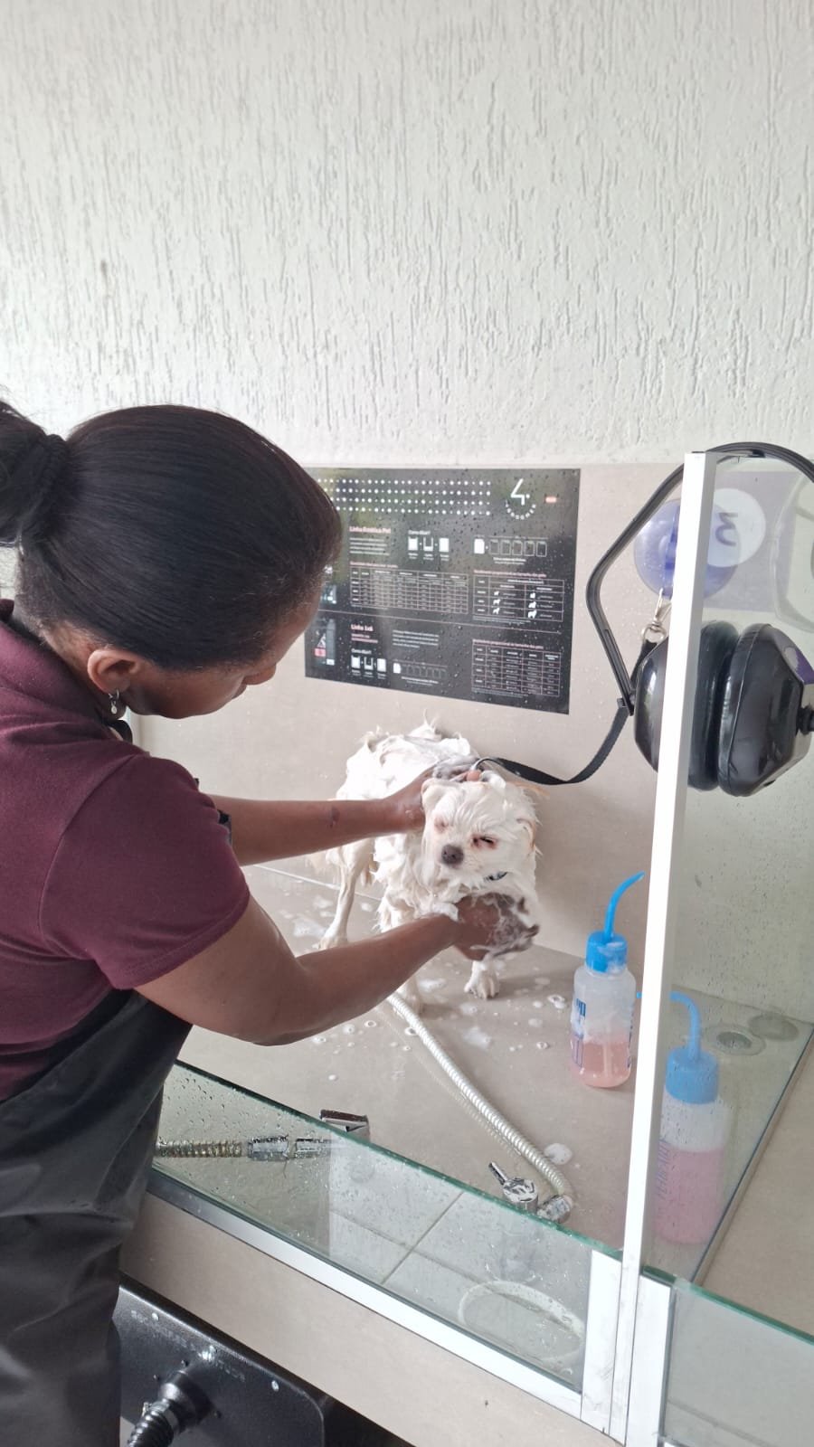 Aula de grooming