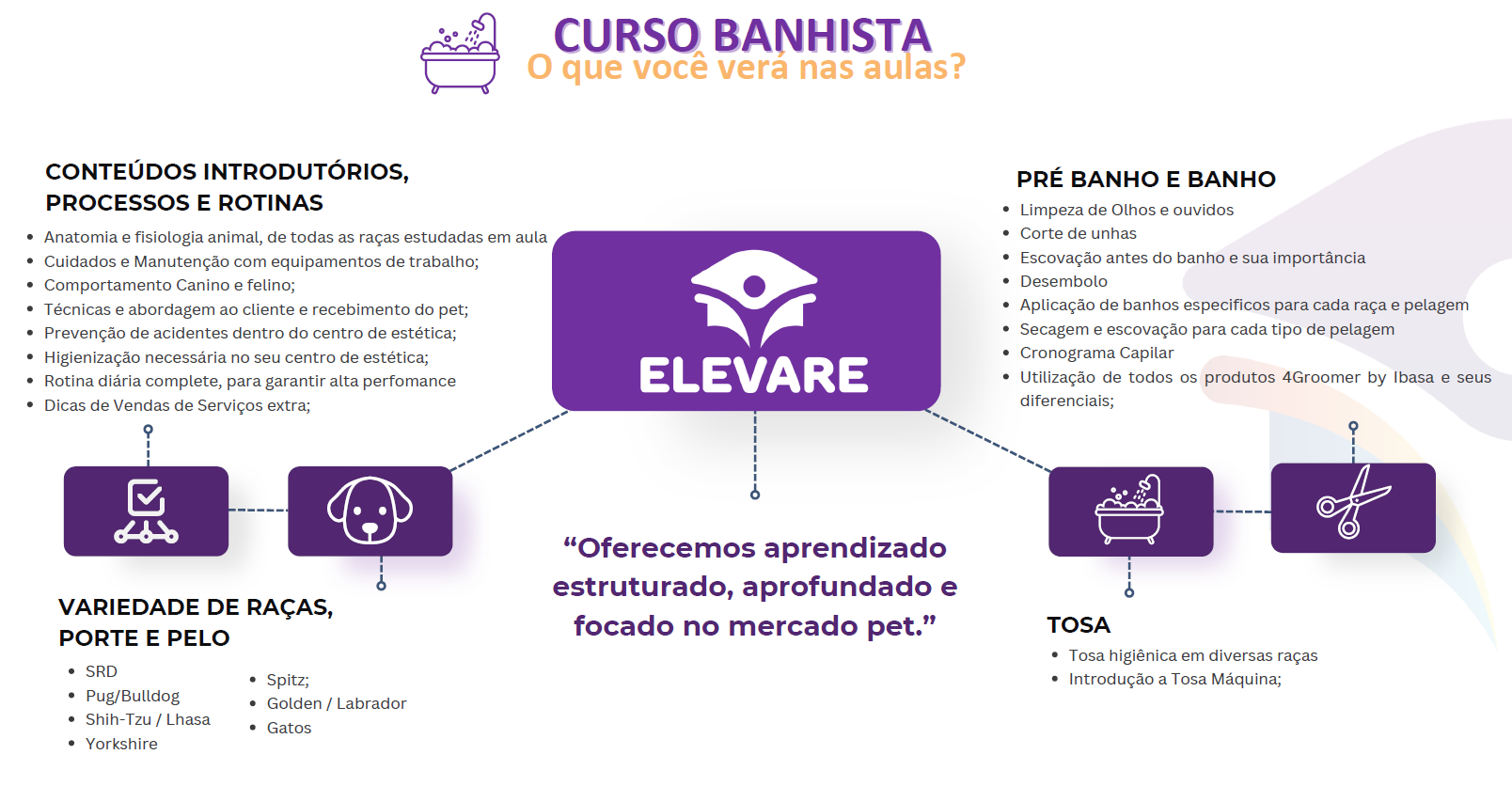 Conteúdo Curso Grooming banhista Esquema do conteúdo programático do curso banhista
