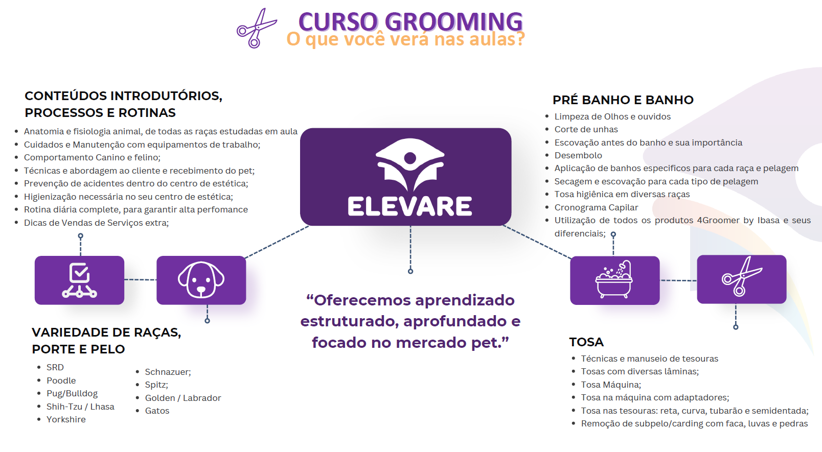Conteúdo Curso Grooming Esquema do conteúdo programático do curso grooming