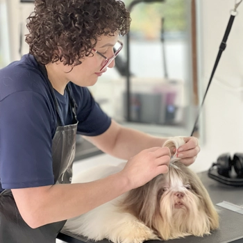 cursos personalizado 2