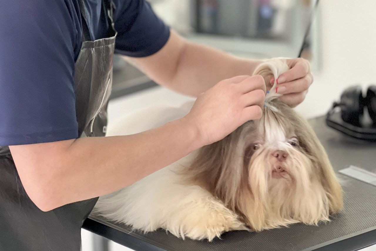 interno personalizado 2 interno personalizado 2