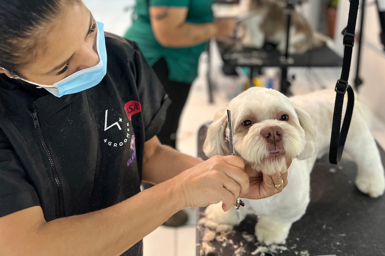 interno personalizado 2