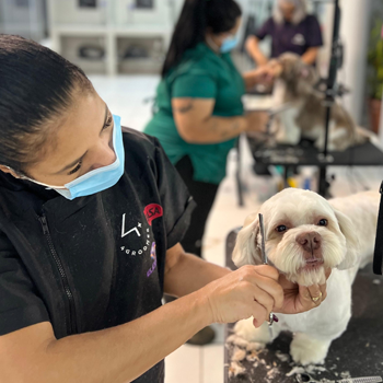 interno personalizado2